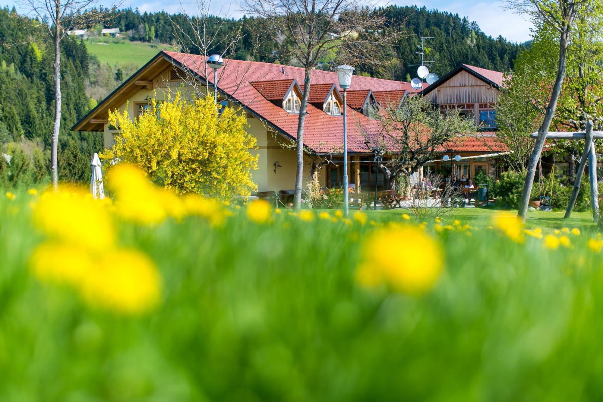 Guesthouse Smogavc Zreče Zewnętrze zdjęcie