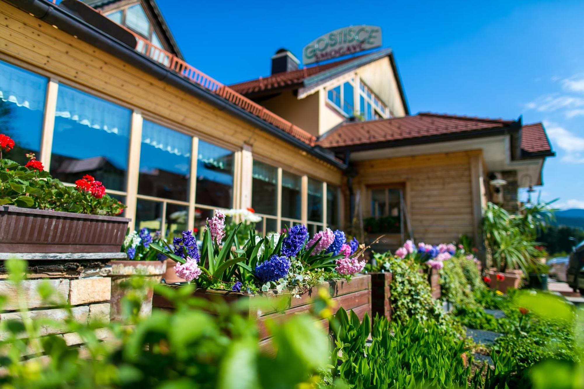 Guesthouse Smogavc Zreče Zewnętrze zdjęcie